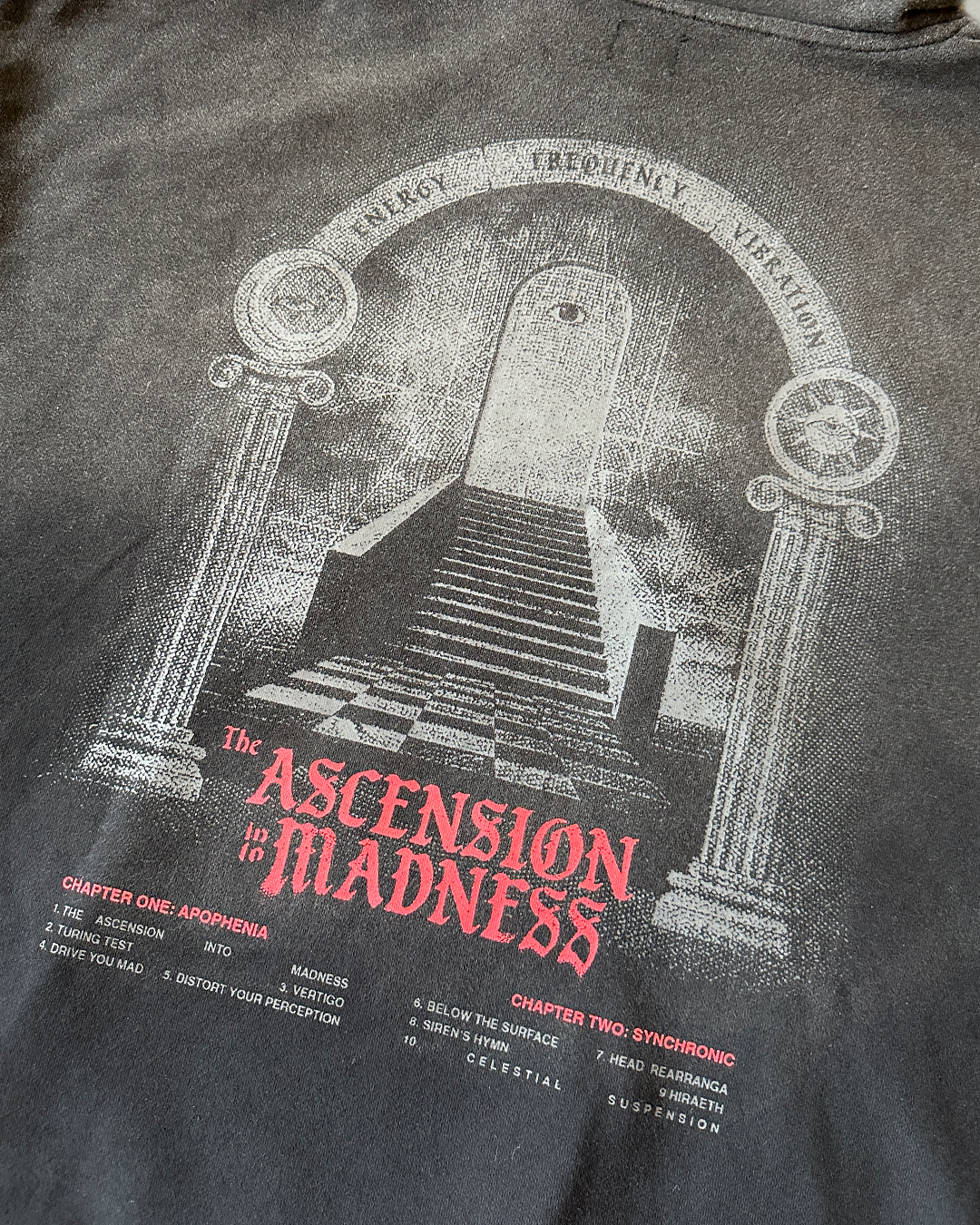 The Ascension into Madness Hoodie