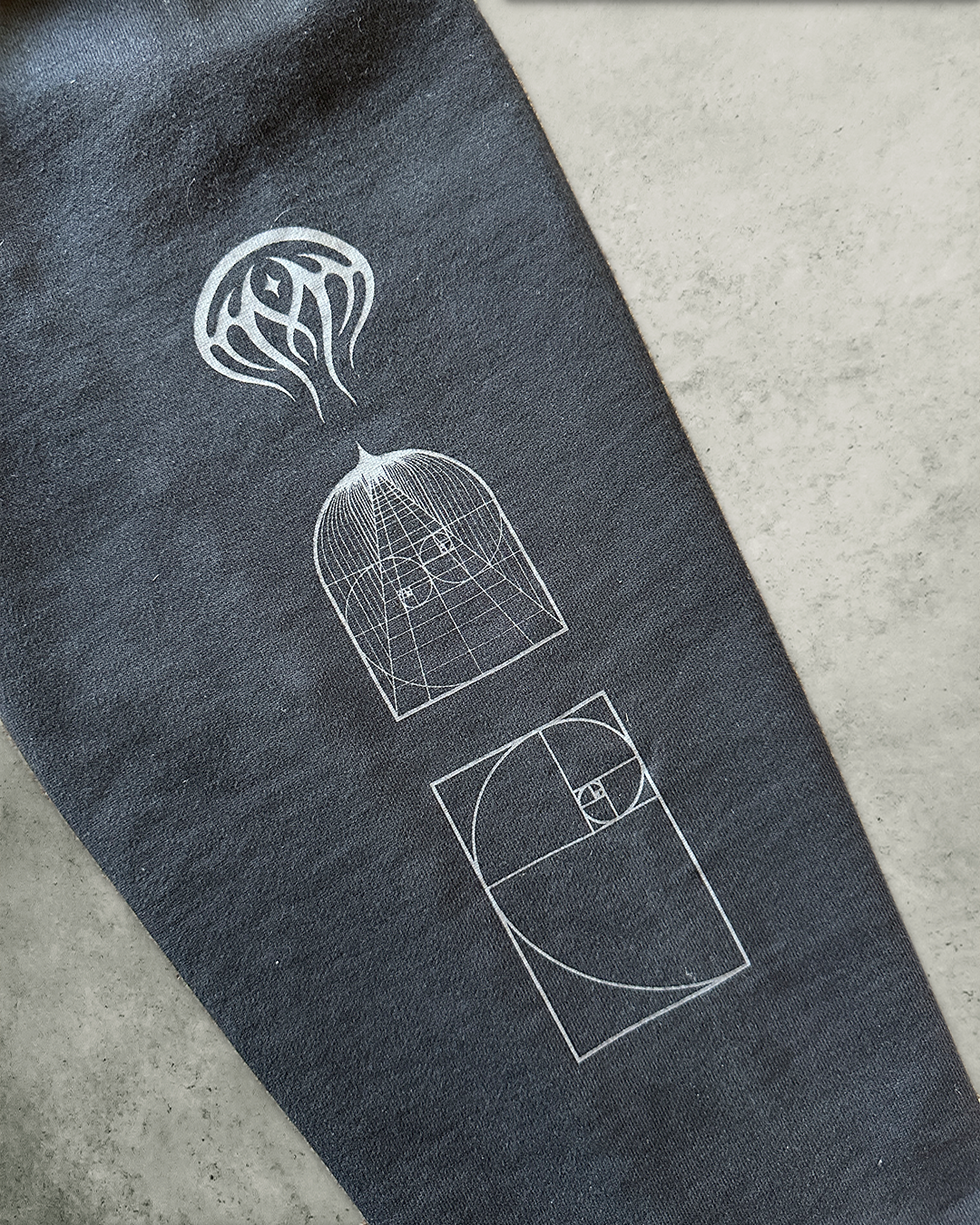 The Ascension into Madness Hoodie